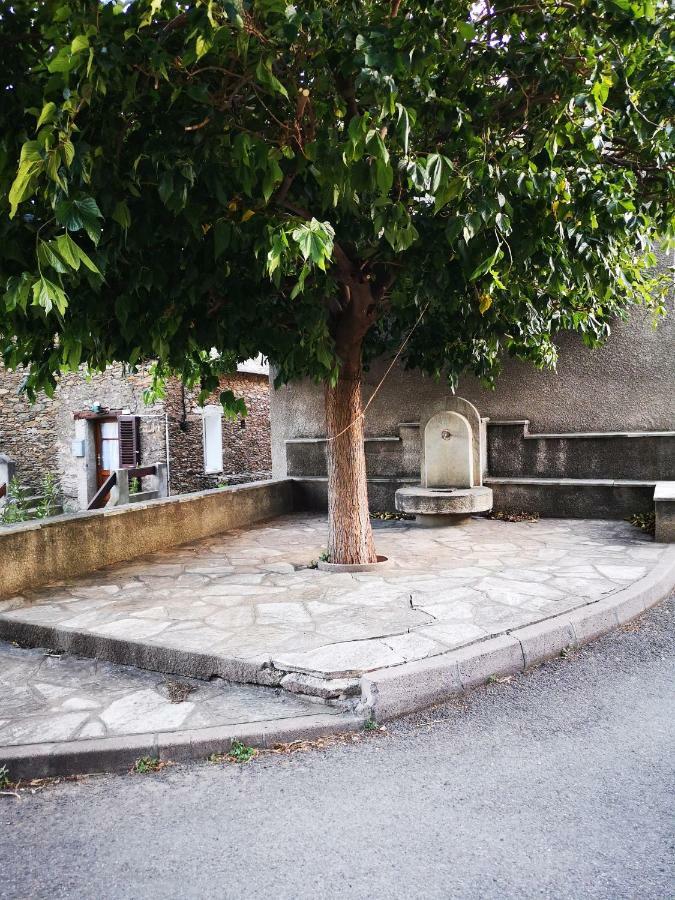Maison De Village A 2 Km De La Mer Sisco Cap Corse 15 Kms Bastia Exterior photo