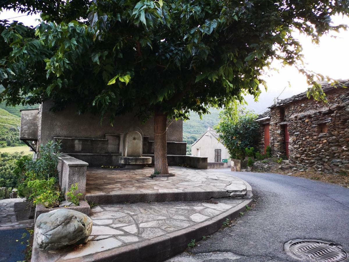 Maison De Village A 2 Km De La Mer Sisco Cap Corse 15 Kms Bastia Exterior photo